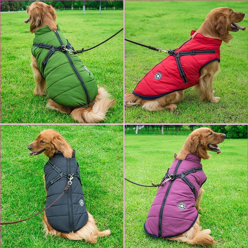 Hunde Vinterjakke Vanntett 3