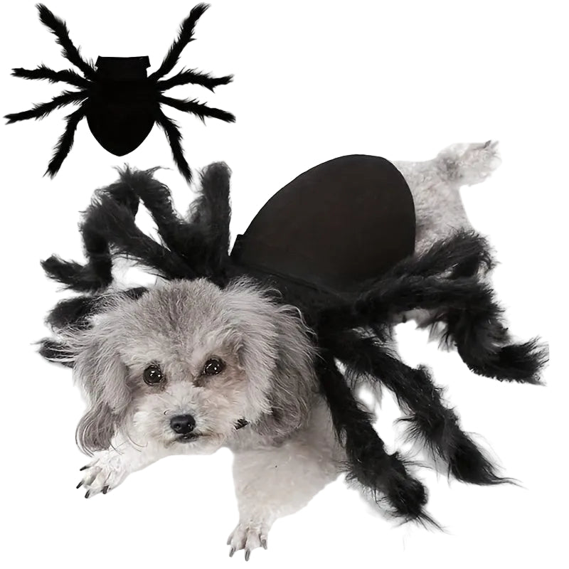 Hundekostyme til Halloween med edderkoppdesign 0