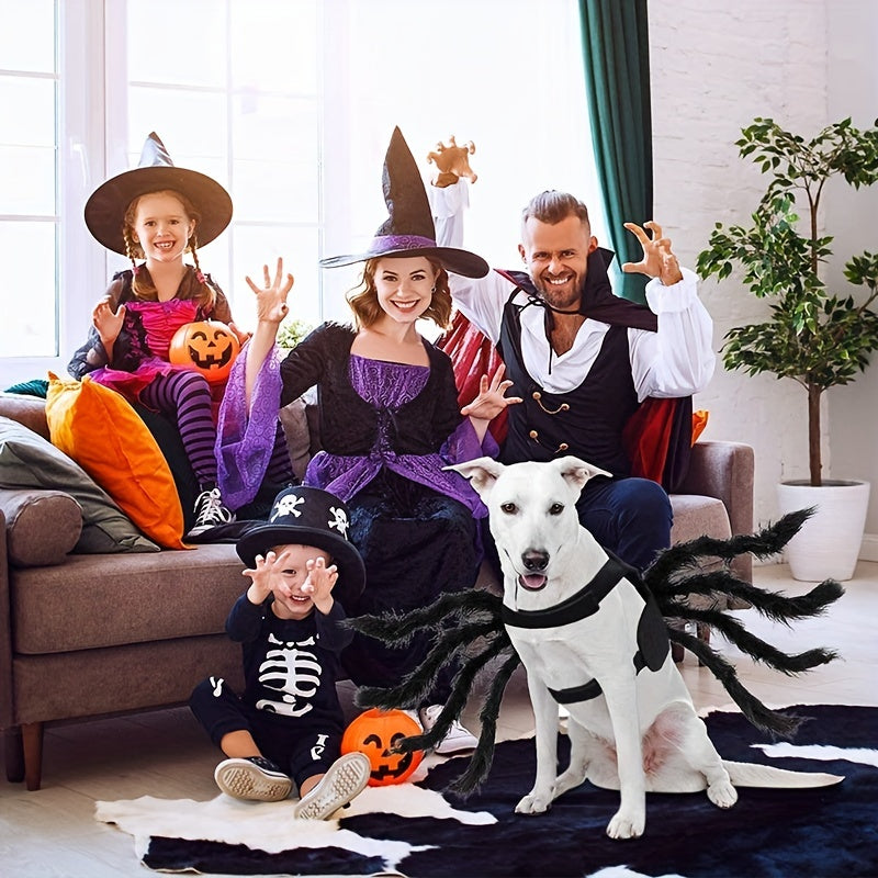 Hundekostyme til Halloween med edderkoppdesign 3