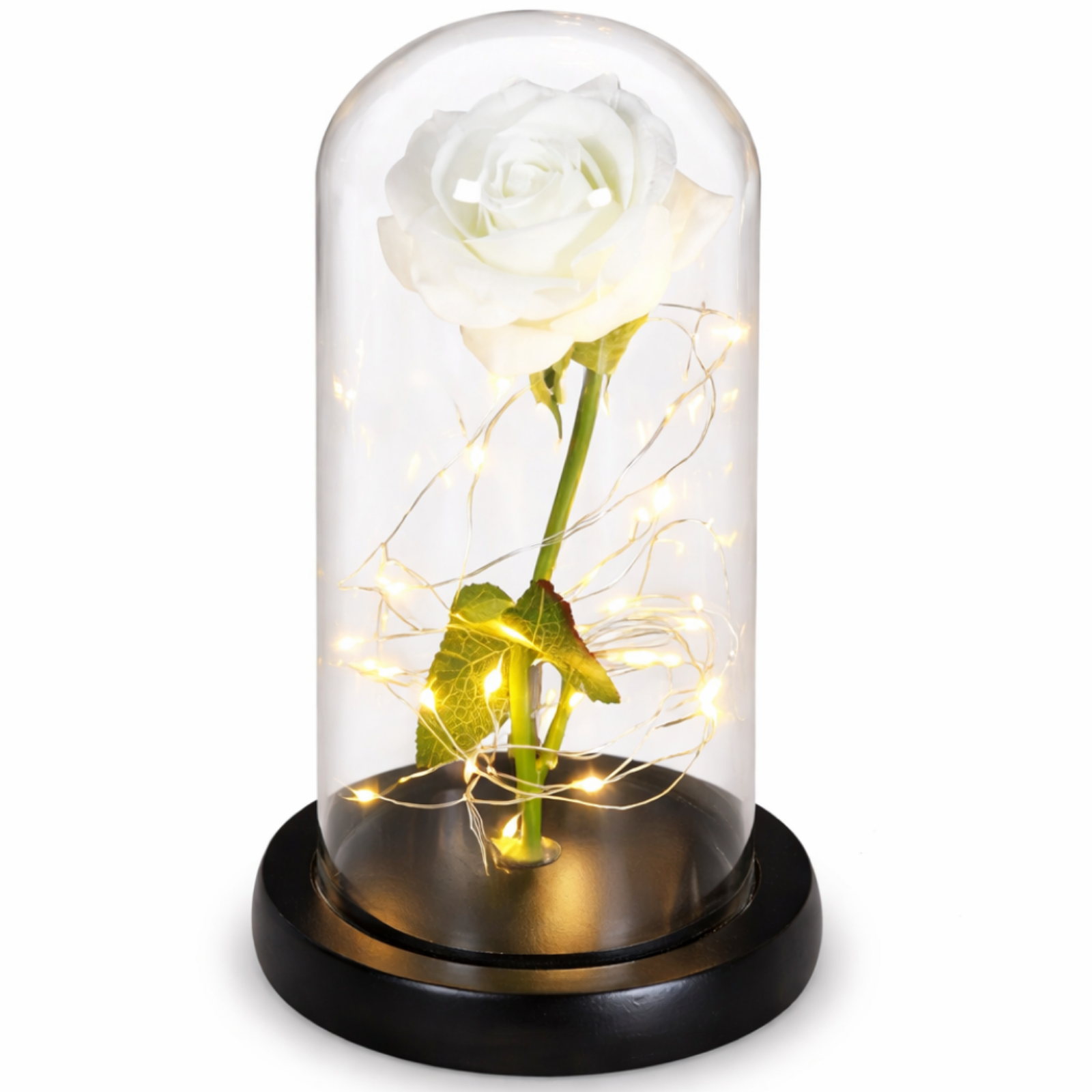 LED-evighetsrosa 1