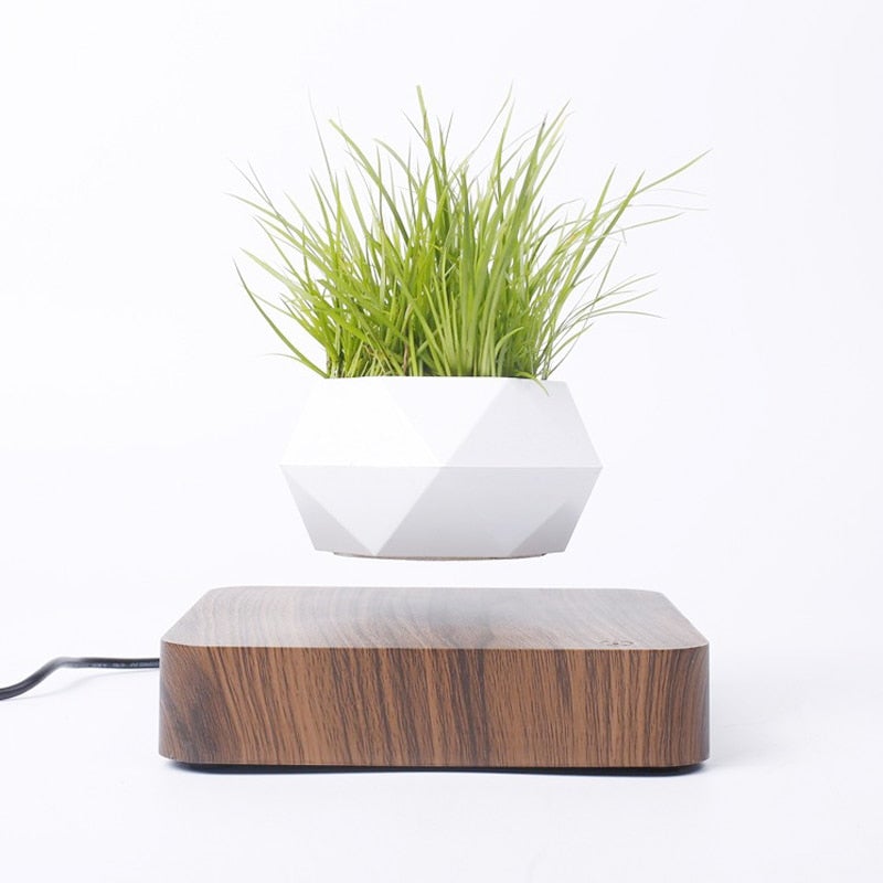 Leviterende Air Bonsai Pot