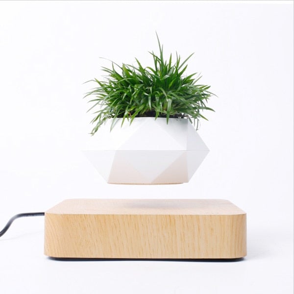 Leviterende Air Bonsai Pot