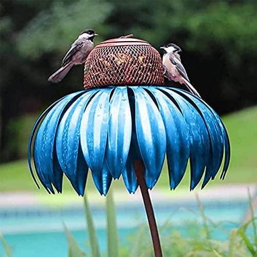 Coneflower Fuglemater