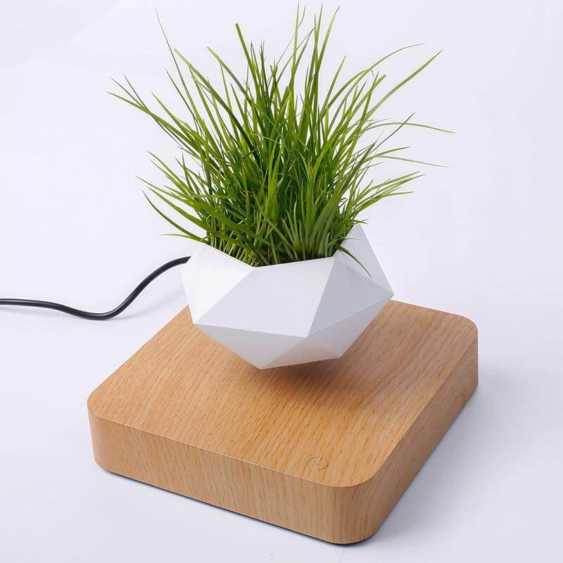 Leviterende Air Bonsai Pot