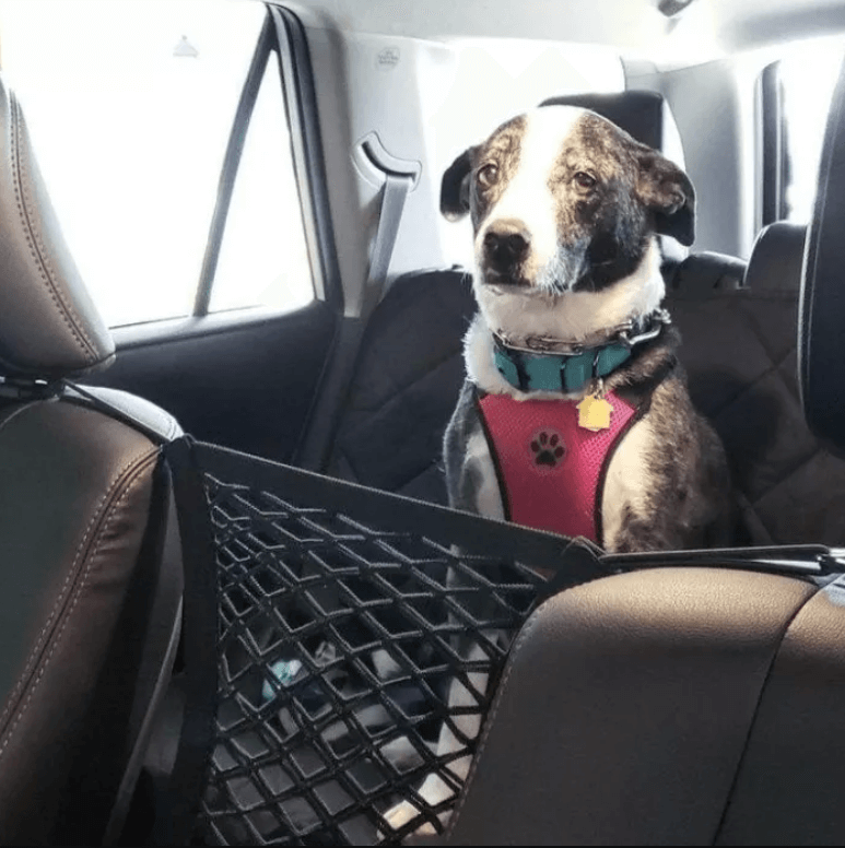 Bagasjeromsete oppbevaringsnett