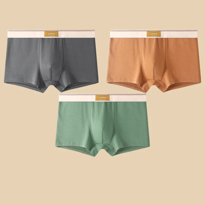 Herre Boxershorts Sett Komfortabel Passform Korte Design 4