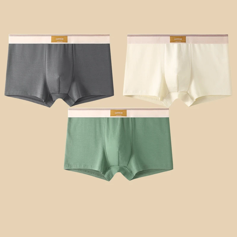 Herre Boxershorts Sett Komfortabel Passform Korte Design 7