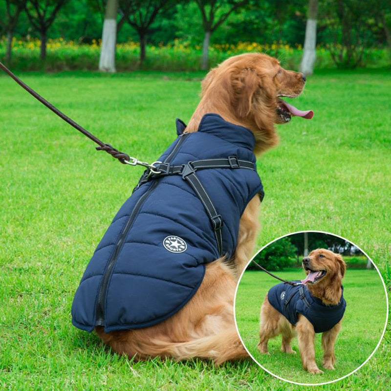 Hunde Vinterjakke Vanntett 1