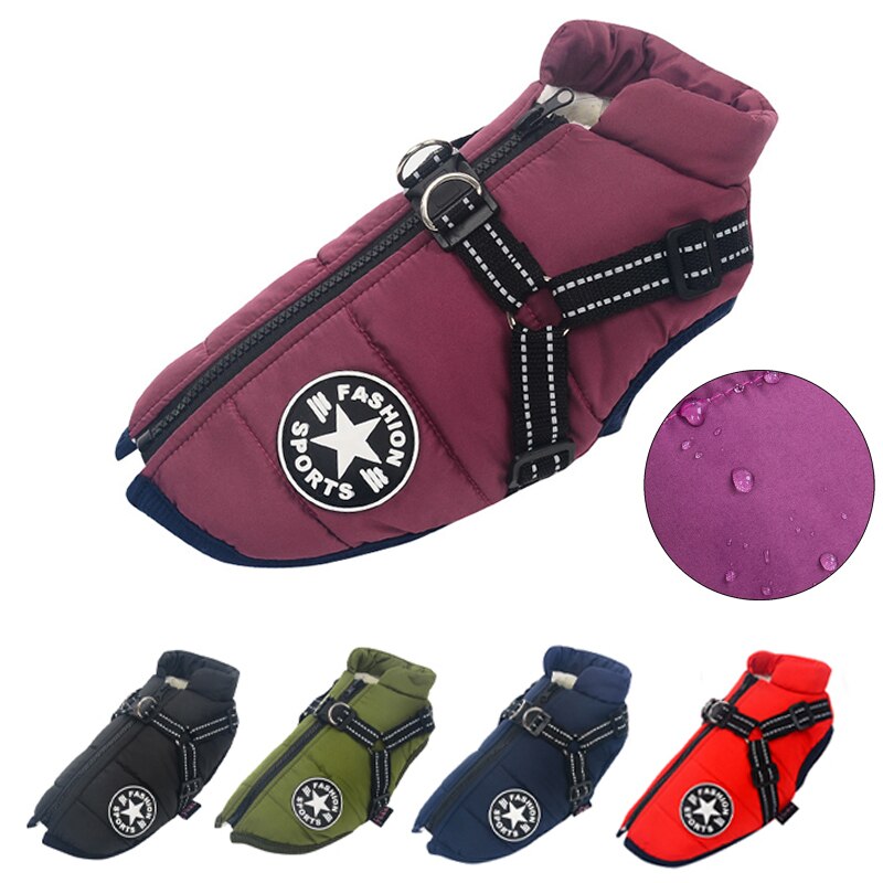 Hunde Vinterjakke Vanntett 5