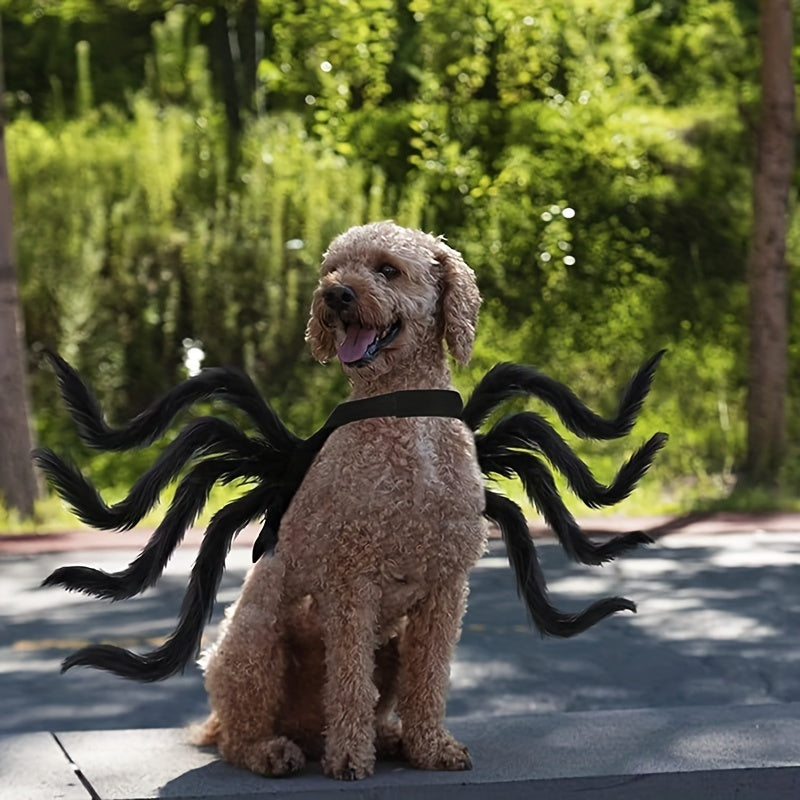 Hundekostyme til Halloween med edderkoppdesign 1