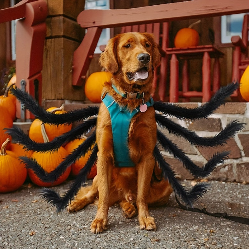 Hundekostyme til Halloween med edderkoppdesign 2