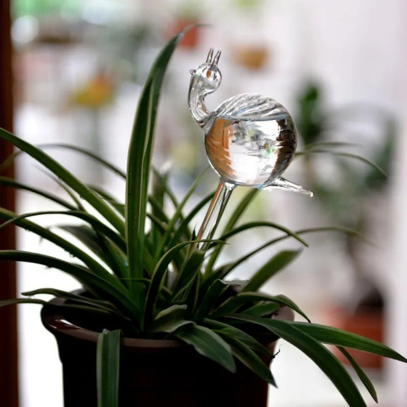 Husplante Automatisk Selvvannende Glass