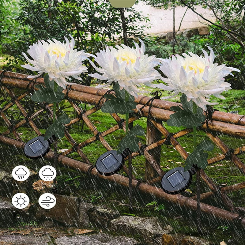 Krysantemum  LED solcellelys