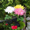 Krysantemum  LED solcellelys