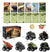 Trekk tilbake Dinosaur Mini Car (6 stk)