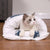 Sovepose For Katt