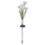 Lily Solar Garden Stake Lights