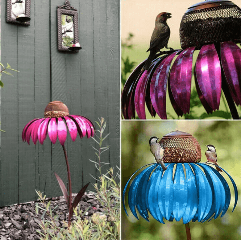 Coneflower Fuglemater