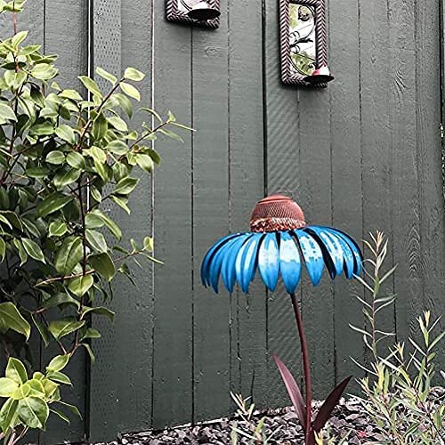 Coneflower Fuglemater