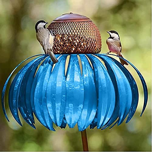 Coneflower Fuglemater