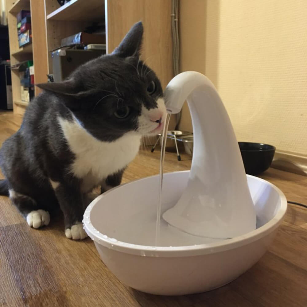Premium automatisk drikkefontene for katter