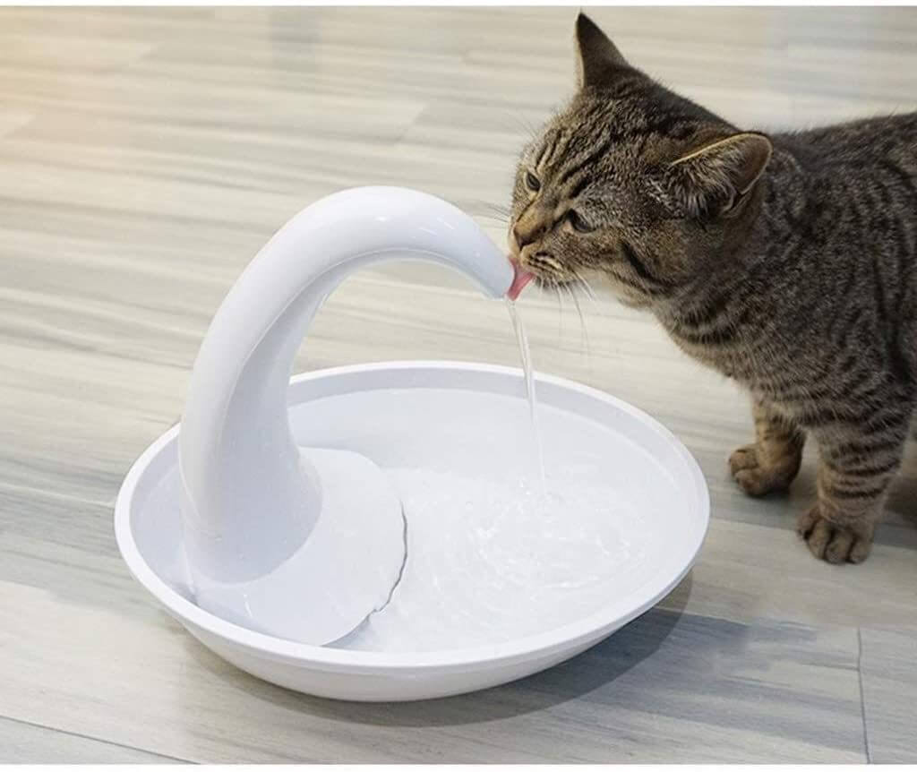 Premium automatisk drikkefontene for katter