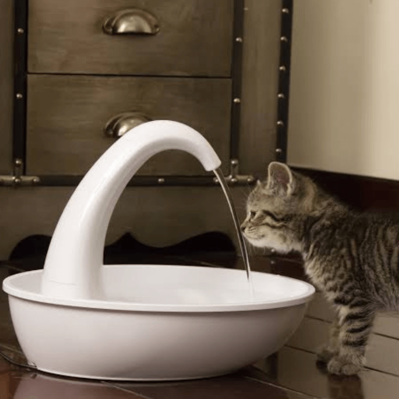 Premium automatisk drikkefontene for katter