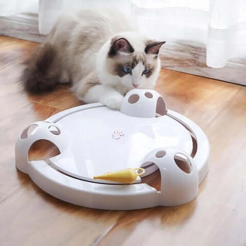 Pounce katteleke