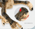 Realistisk RC Dinosaur Toy