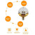 LED krystall magisk ball