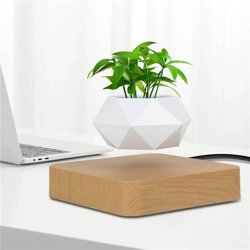 Leviterende Air Bonsai Pot